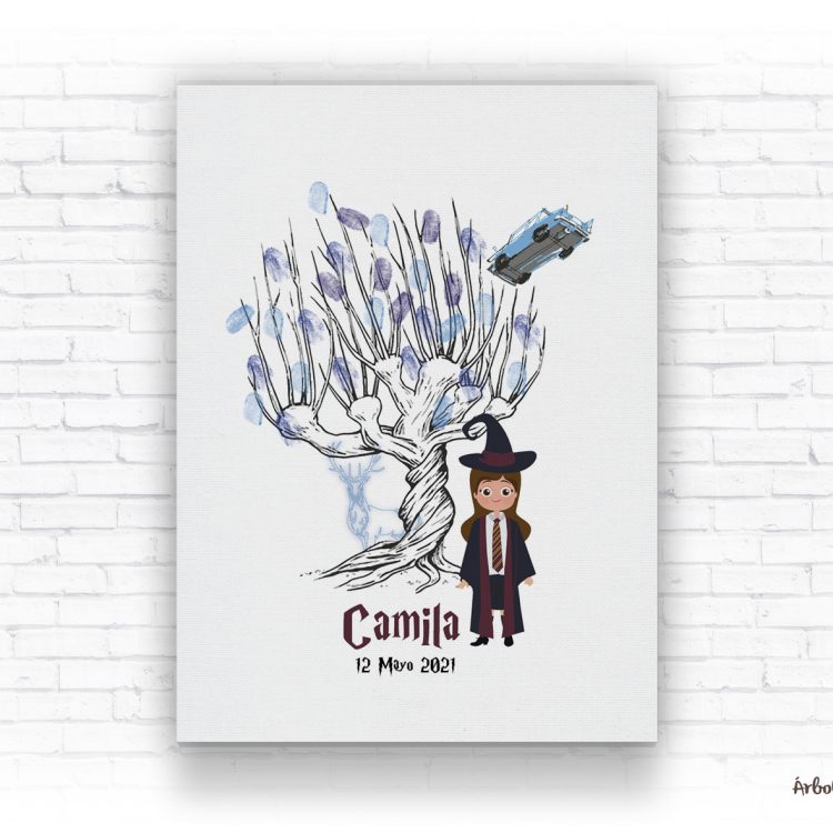 Niña Harry Potter coche